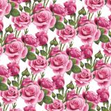 Wet-Pink-Roses-23-thumb-1