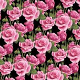 Wet-Pink-Roses-24-thumb