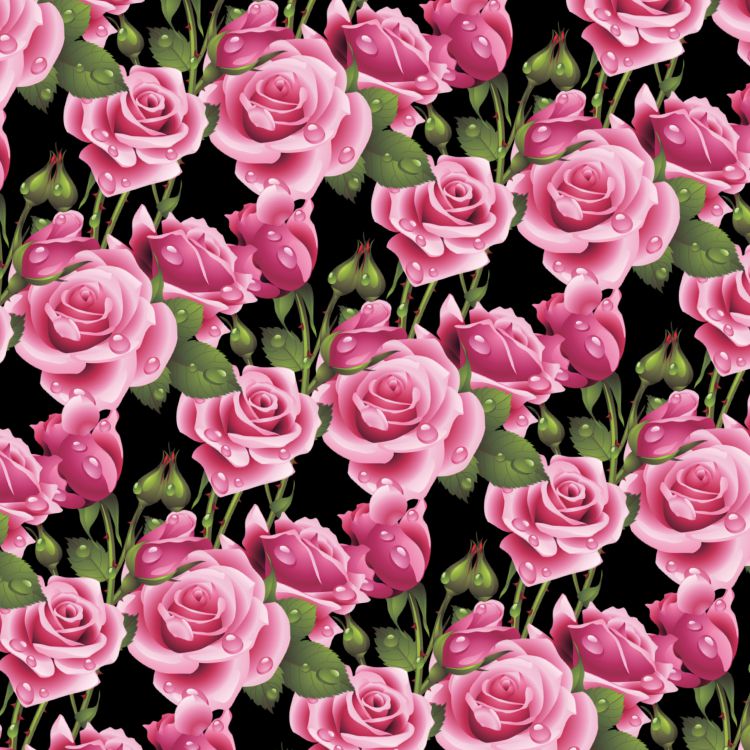 Wet Pink Roses 24