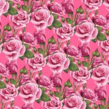Wet-Pink-Roses-25-thumb