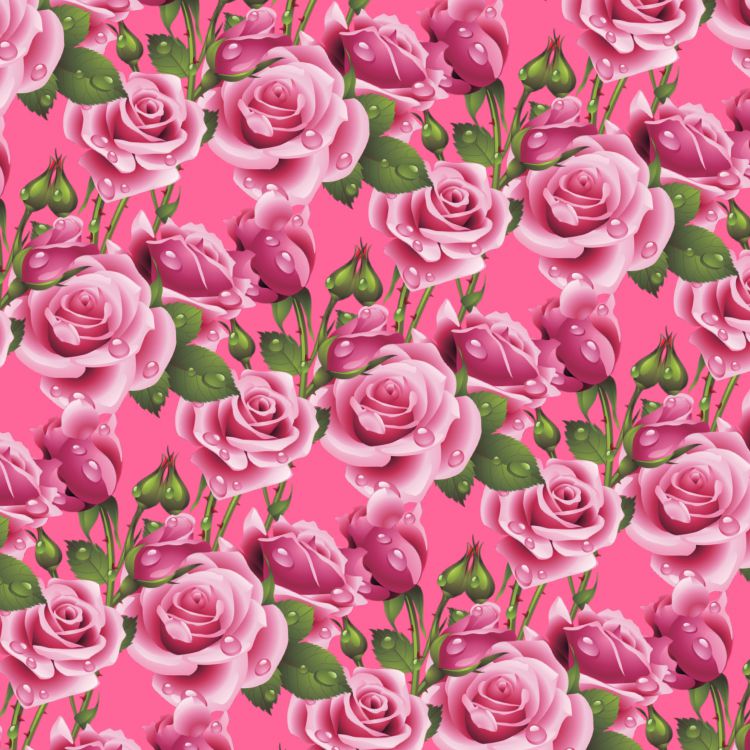 Wet Pink Roses 25
