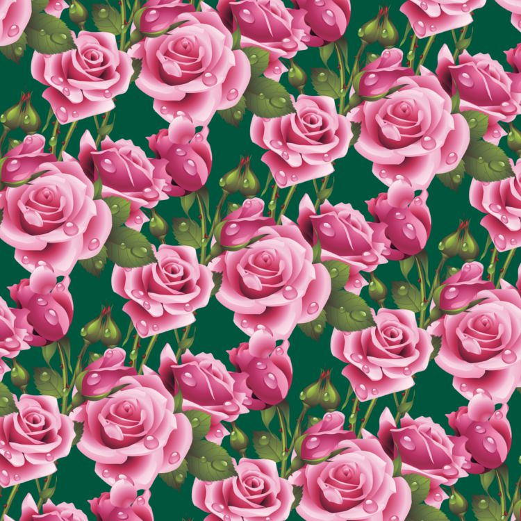 Wet Pink Roses 26