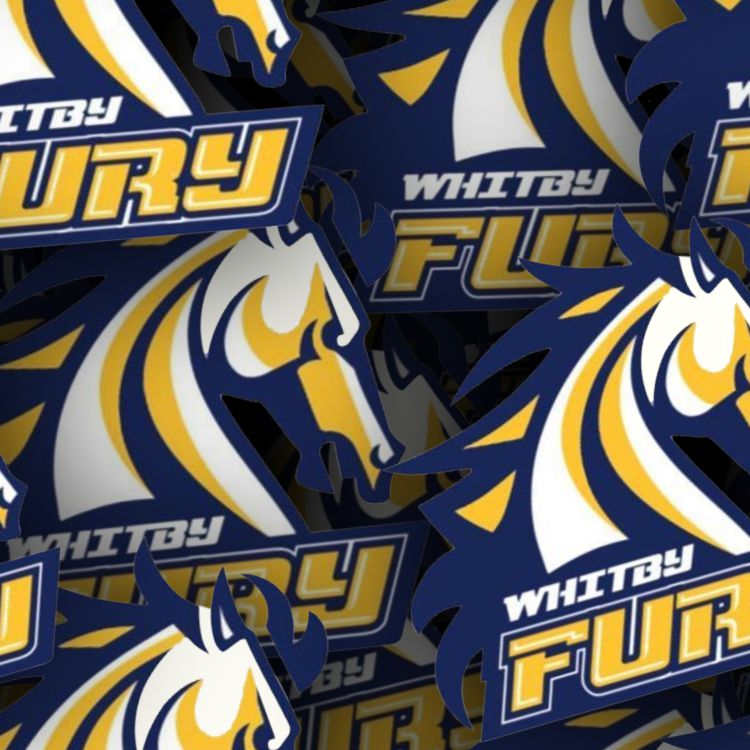 Whitby Fury 22