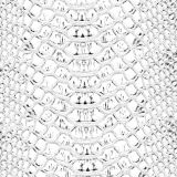 White-Snake-Skin-22-1