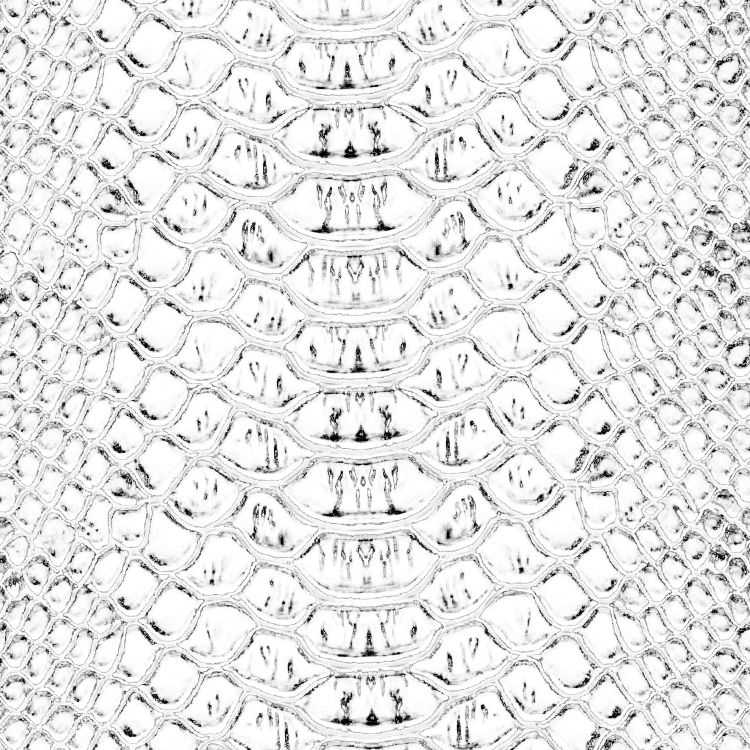 White Snake Skin 22