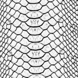 White-Snake-Skin-23