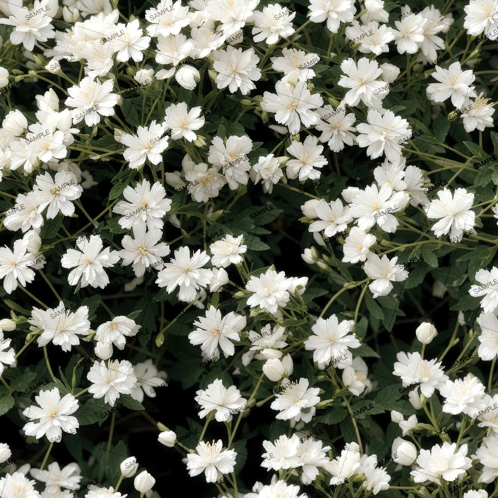 White Yuk Snowflake Flowers