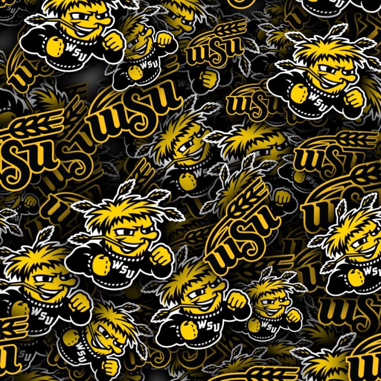 Wichita State University Shockers 22