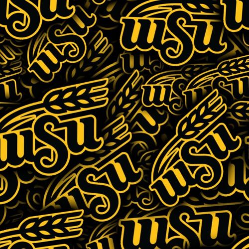 Wichita State University Shockers 23