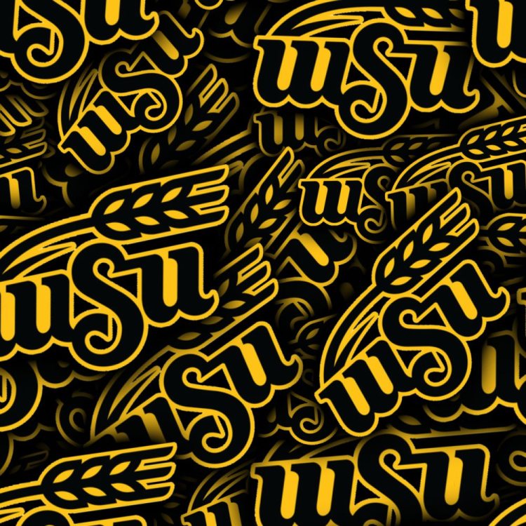 Wichita State University Shockers 23