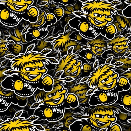 Wichita State University Shockers 24