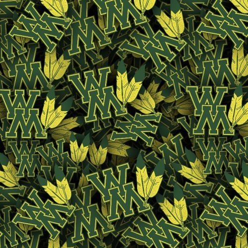 William & Mary Tribe