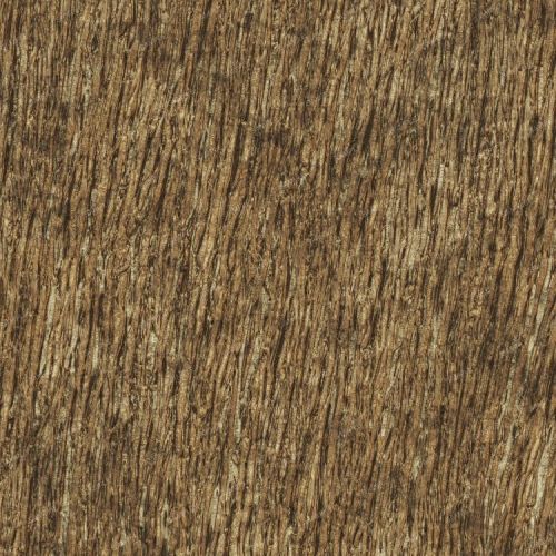 Willow Bark