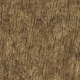 Willow-Bark