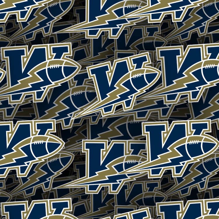 Winnipeg Blue Bombers 22