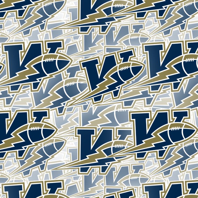 Winnipeg Blue Bombers 23