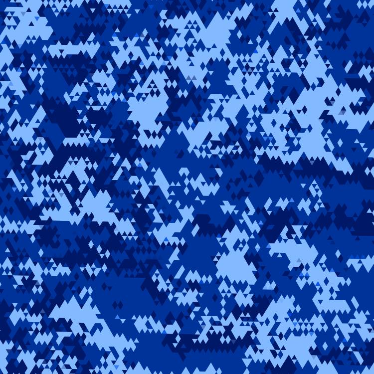 Winnipeg Blue Bombers Camouflage