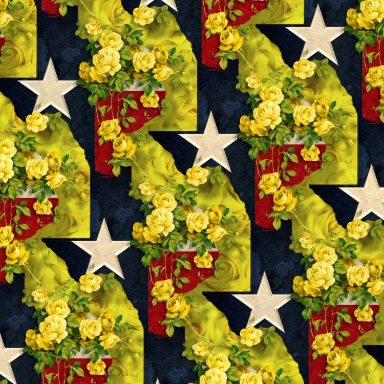 Yellow Rose of Texas 23