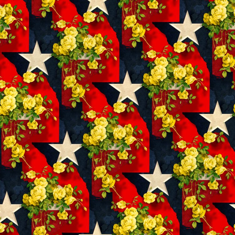 Yellow Rose of Texas 24