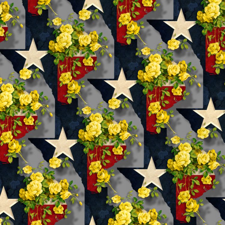 Yellow Rose of Texas 25