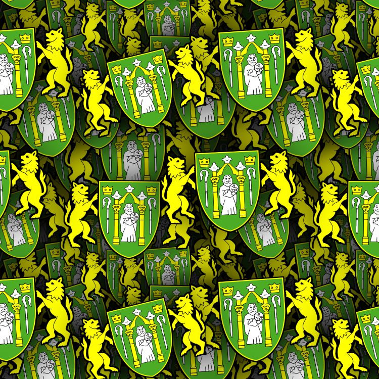 Yeovil Town FC