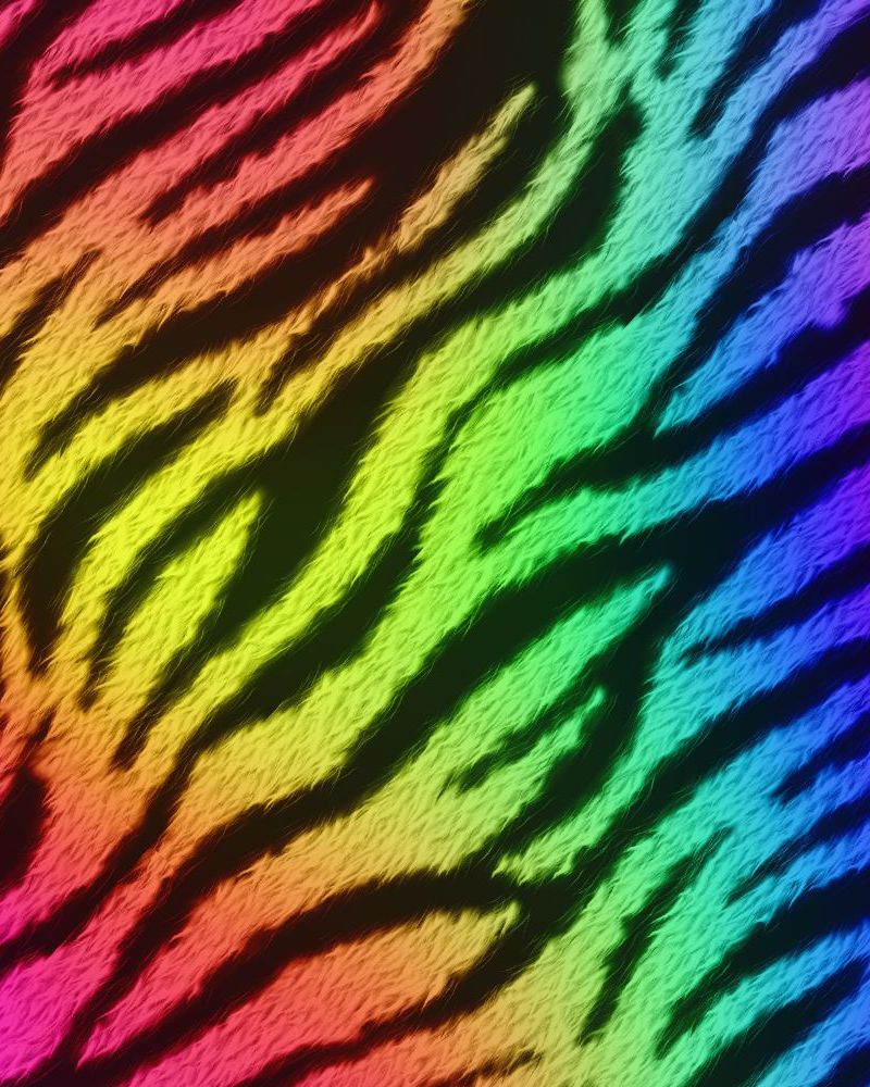 Zebra 21