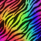 Zebra-21-1