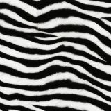 Zebra-Fur-43