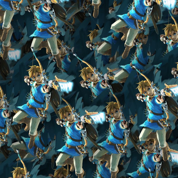 Zelda 24