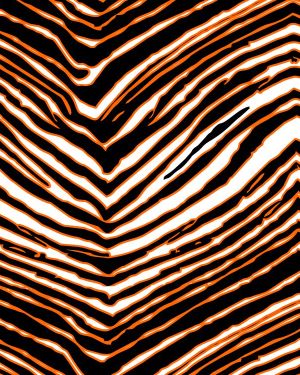 Zebra Buffalo Bandits Inverted