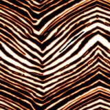 Zubaz-Buffalo-Bandits-Inverted