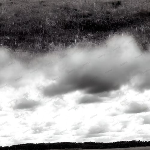 Field Under a Partially Cloudy Sky