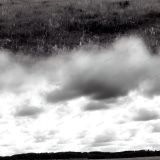 field-under-a-partially-cloudy-sky
