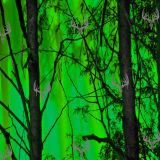 green-fire-thumb