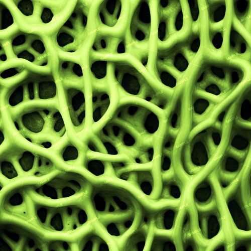Alien Organism 33