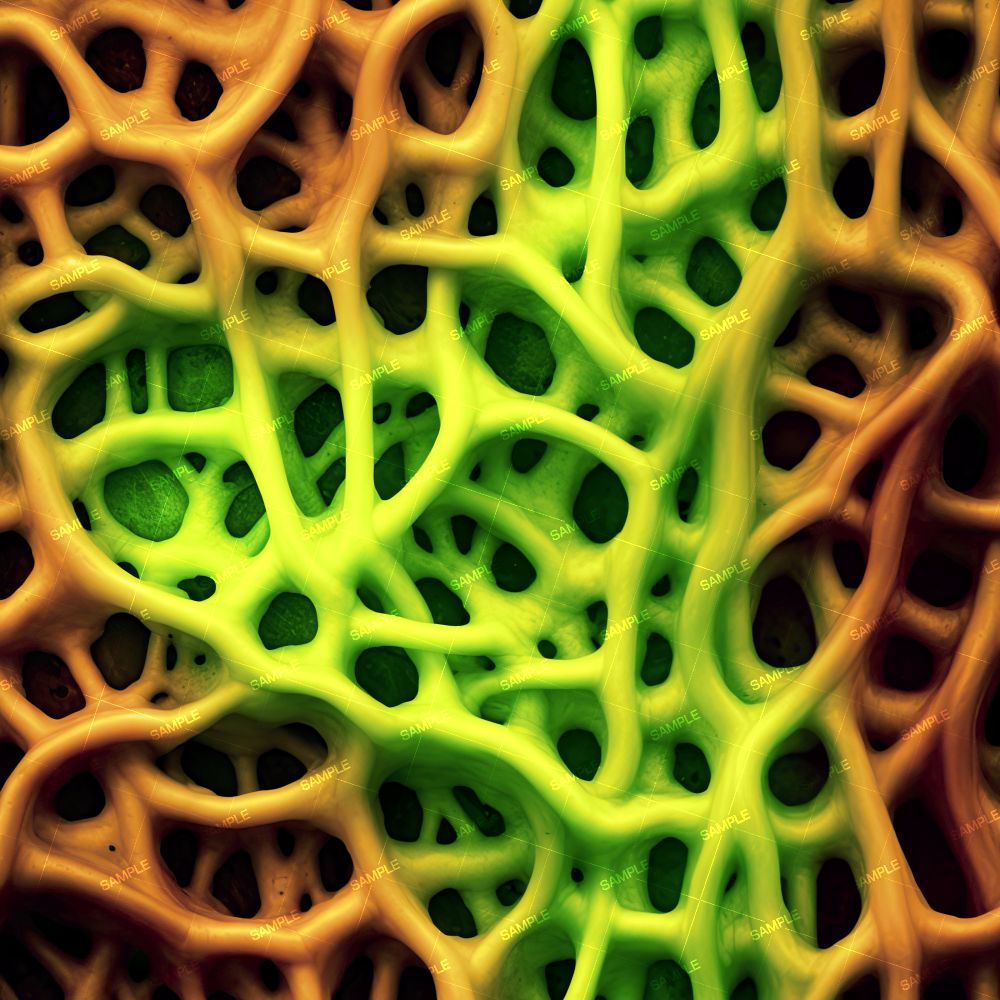 Alien Organism 34