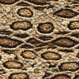 Alien-Snake-Scales-23