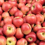 Apples-43