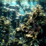 Aquarium-Background-42