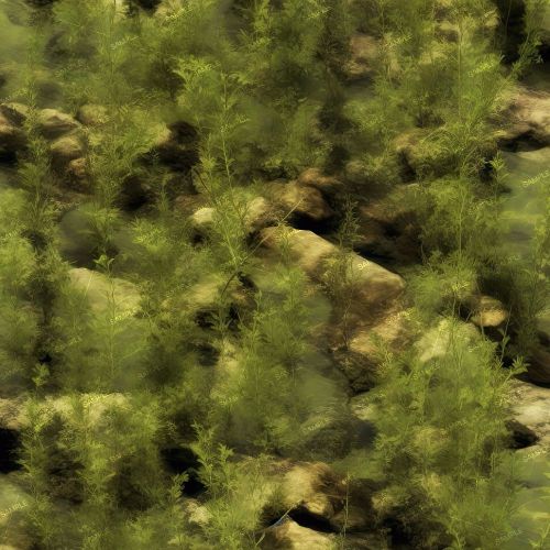 Aquatic Camouflage 43