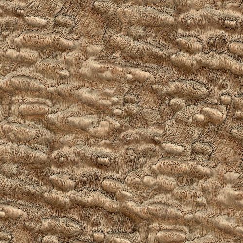 Ash Burl 42