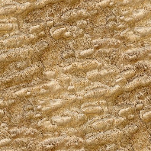 Ash Burl 43