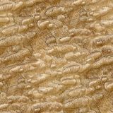 Ash-Burl-43