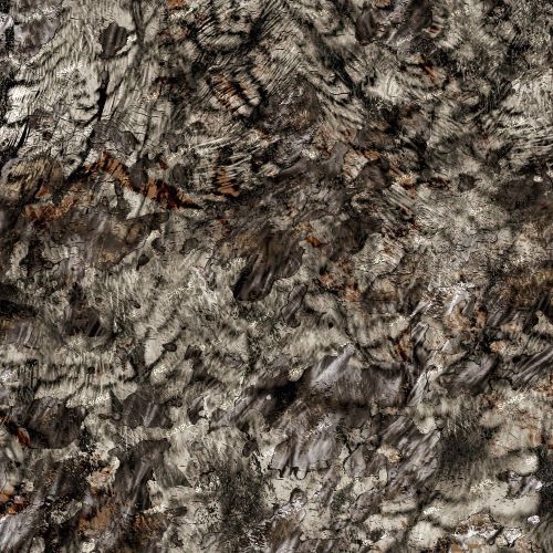 Asio Raptor Camouflage