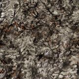 Asio-Raptor-Camo