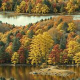 Autumn-Lake-42