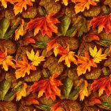 Autumn-Leaves-44
