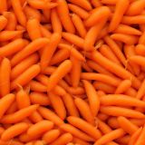 Baby-Carrots