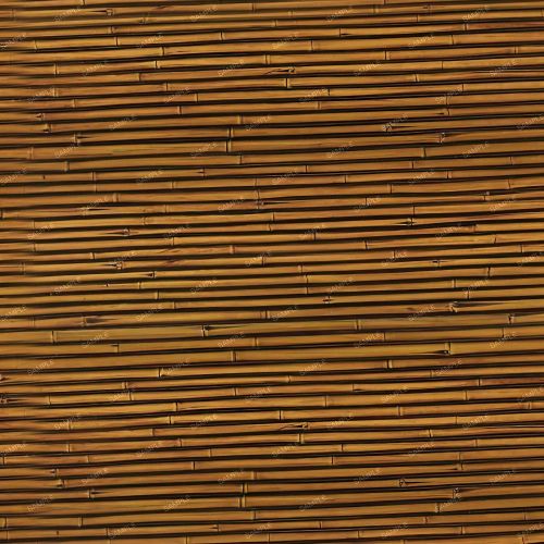 Bamboo 57