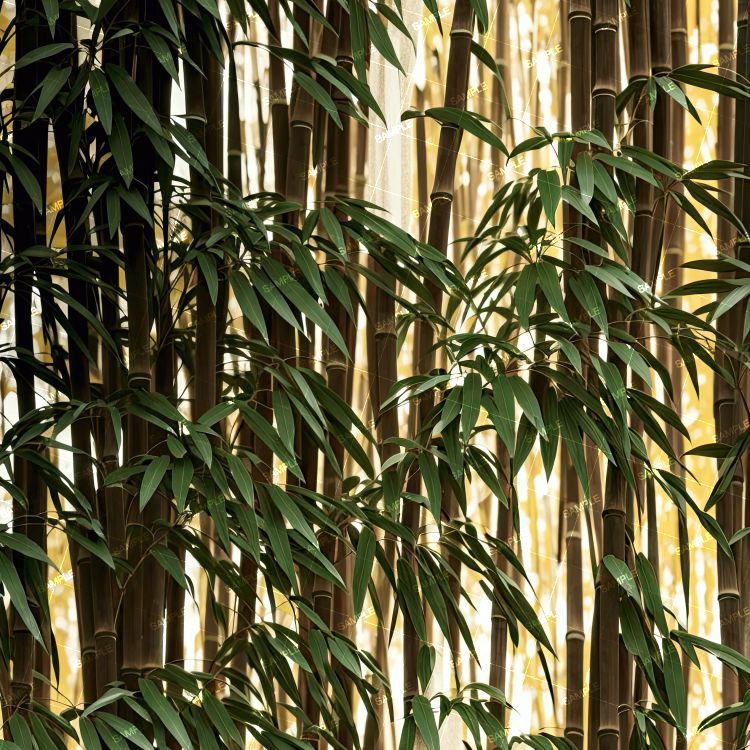 Bamboo Forest 41
